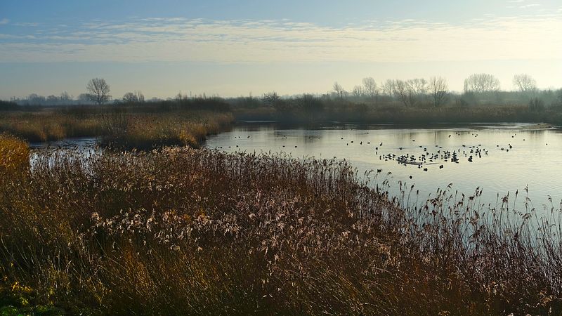View from the Harrier hide