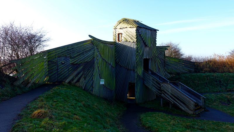 The Harrier hide