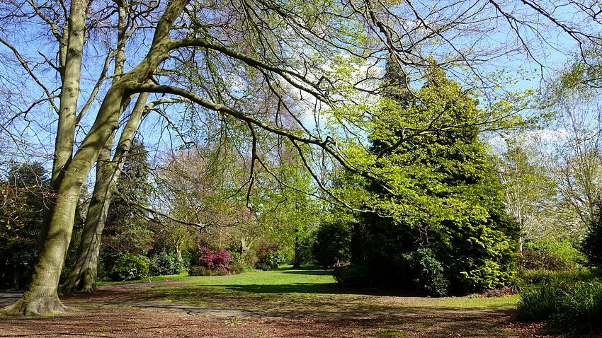 John Leigh Park