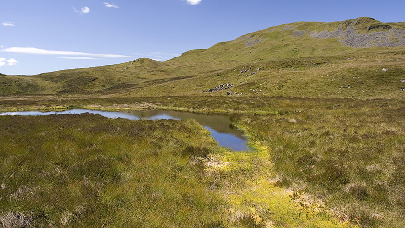 Headwaters of Dolydd Bychain