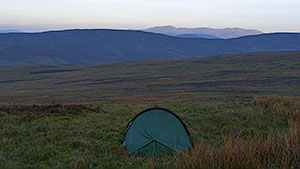 Pitch on Trum y Fawnog