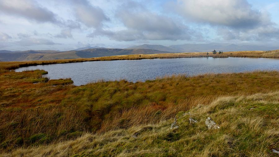 Pool near Foel Boeth summit