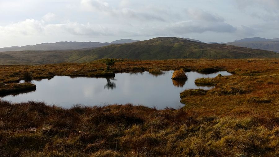 Lower pool near Foel Boeth summit with Pen y Bedw beyond