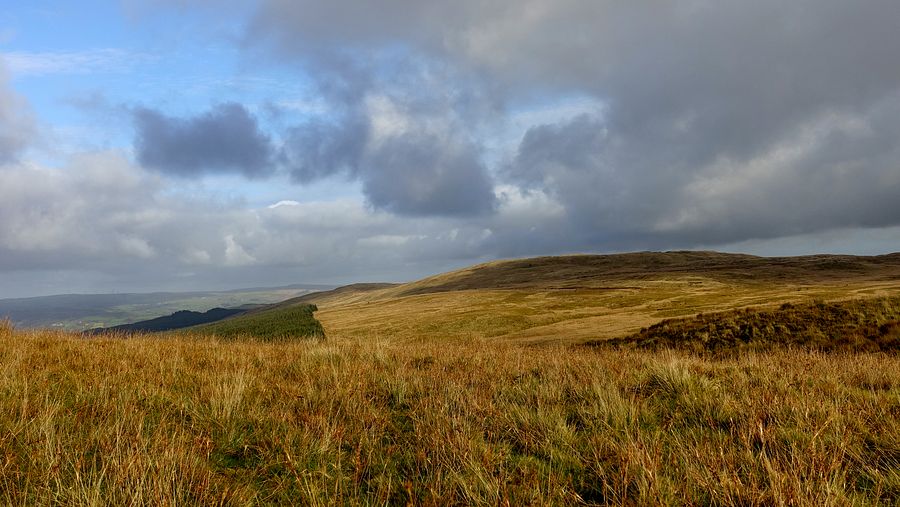 View to Foel Boeth from Bryniau Duon