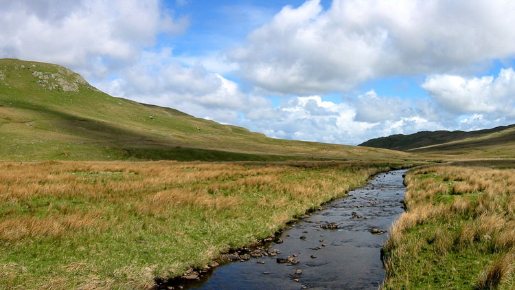 Mosedale