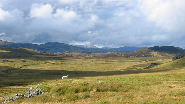 View NW from Moel Llechwedd-gwyn