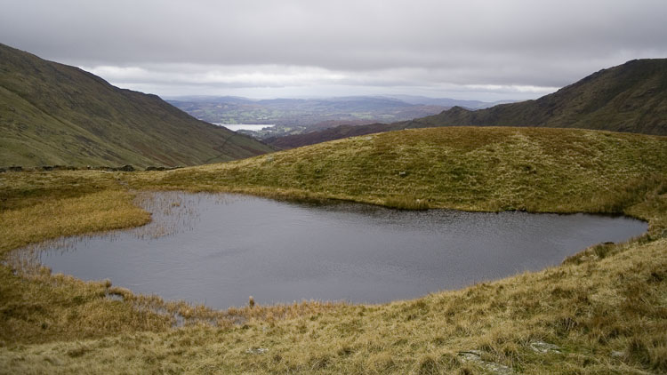 Scandale Tarn Scandale Tarn