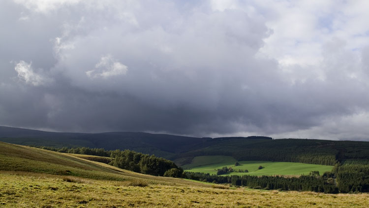 Dark rainclouds approach our pitch outside the forest