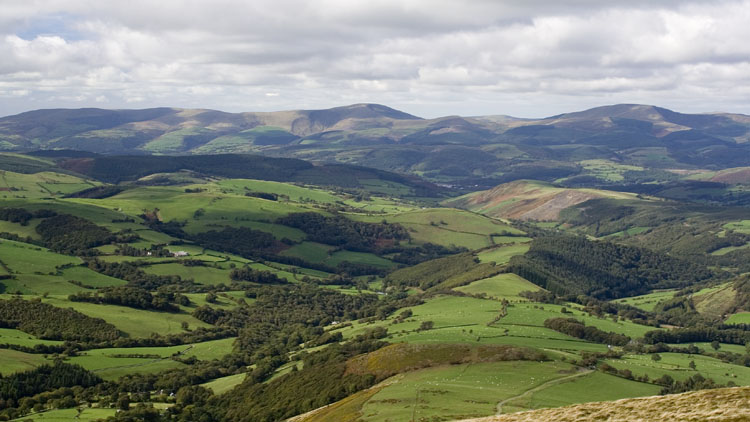 The Tarrens from Foel Fadian