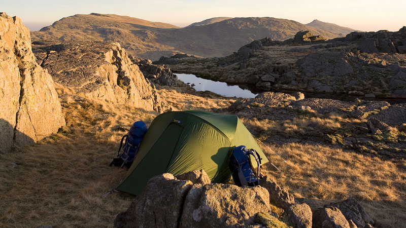 Pitch by tarn on Little Stand