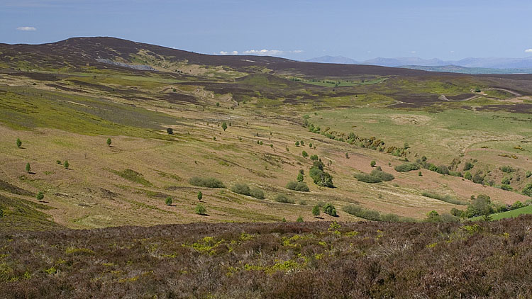 Moel Fferna & old quarry  from Vivod Mountain