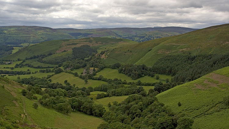 View towards the Dee Valley from the Clwydian Way