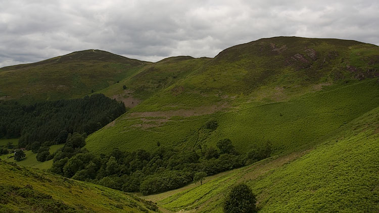 Moel Morfydd & Moel y Gaer