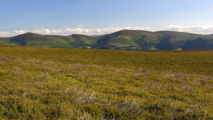Llantysilio hills from the North Berwyn Way