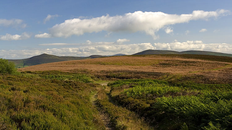 Llantysilio hills from the North Berwyn Way