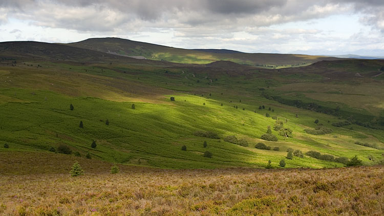 Moel Fferna from Vivod Mountain