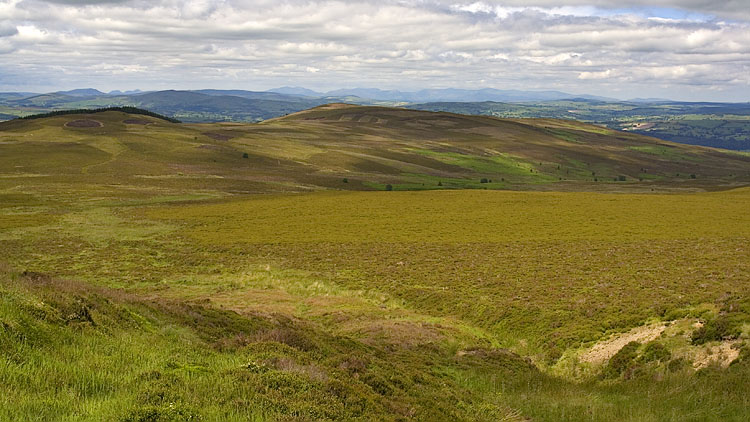 Bryn-llus from Moel Fferna