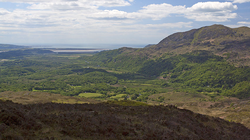 Moel Ddu & the Glaslyn Marshes from Moel y Dyniewyd