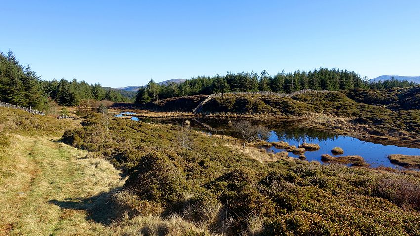 Pools of Mynydd Foel-uchaf