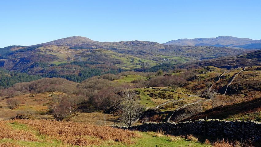 Rhobell Fawr and the Arans