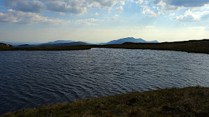 Llyn y Fign