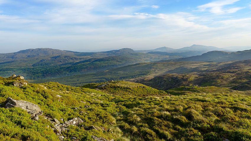The Arenigs from Glasgwm descent