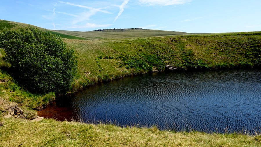 Pool on Cowberry Hill