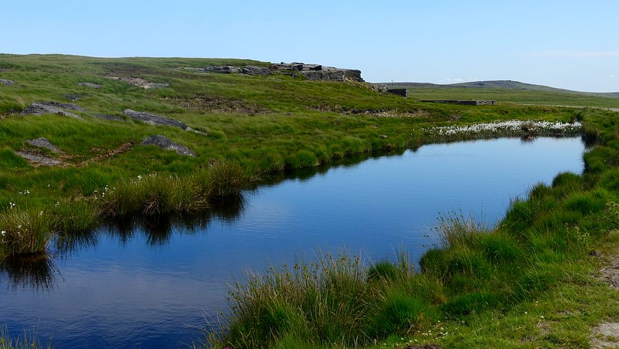 Pool and cotton Grass on Light Hazzles Edge