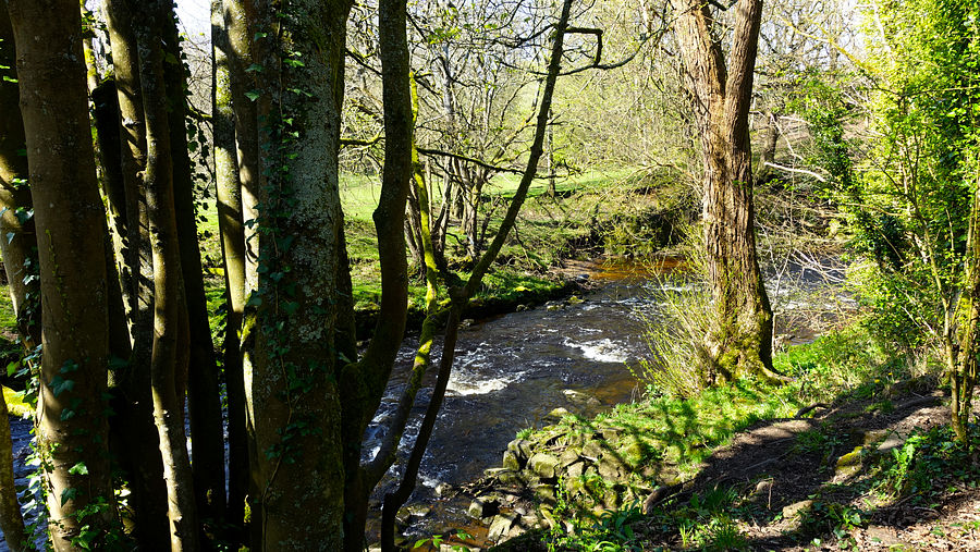 The Goyt The Goyt