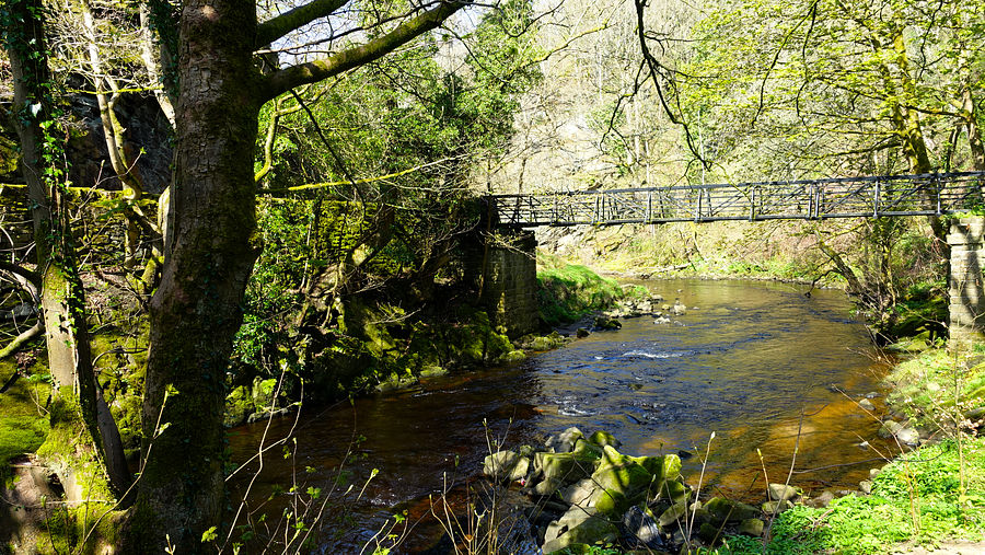 Footbridge on the Goyt Footbridge on the Goyt
