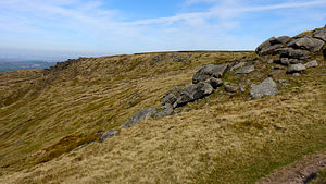 Approaching Higher Shelf Stones