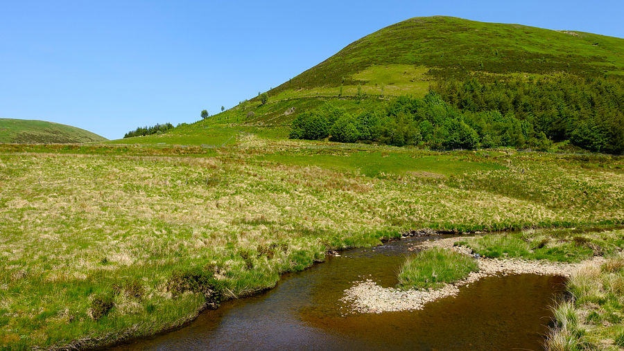 Y Foel and the Wye