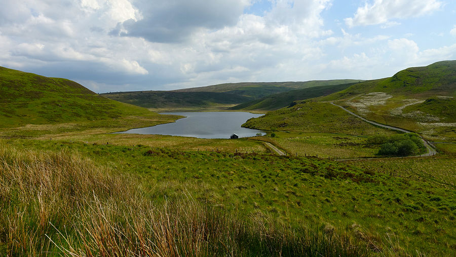 Bugeilyn
