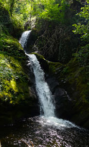 Dolgoch lower fall
