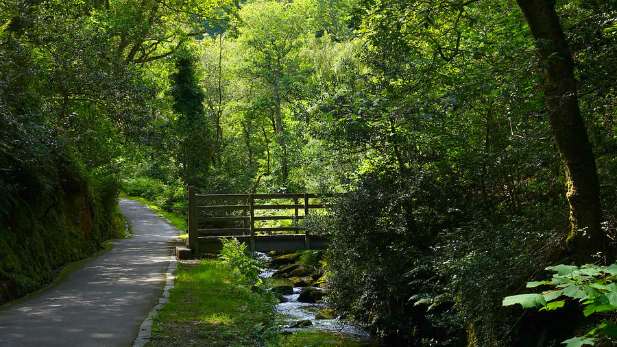 Approaching Dolgoch Falls
