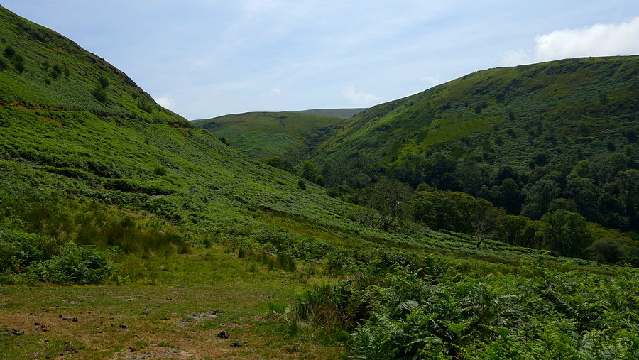 Nant Dolgoch valley
