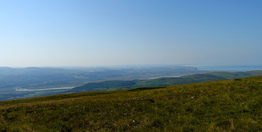 Dyfi estuary from the ridge path