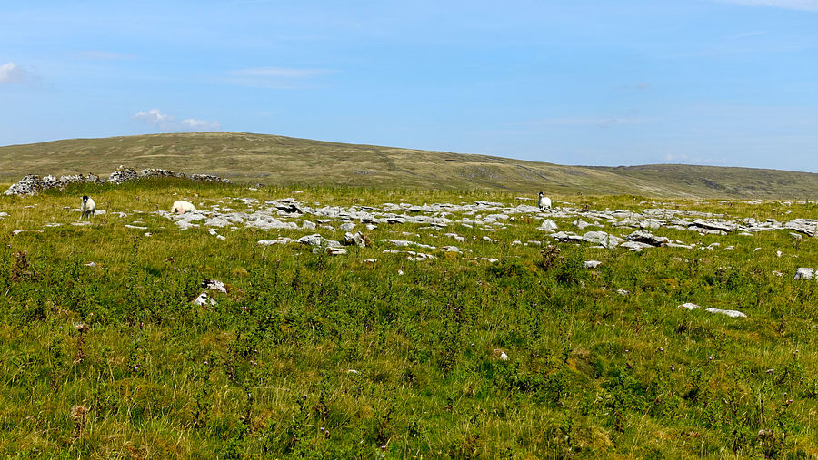 Limestone pavement on Wold Fell Limestone pavement on Wold Fell