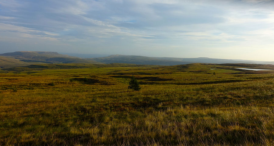 View to Widdale Tarns from Great Knoutberry Hill View to Widdale Tarns from Great Knoutberry Hill