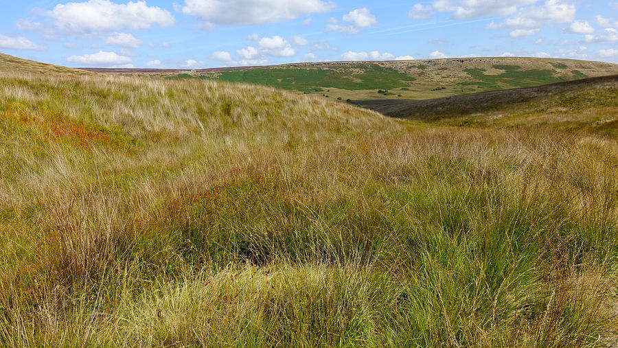 View north-eastwards from Willmer Green Clough