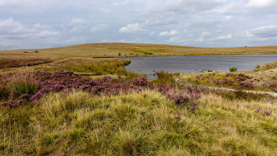 Cupwith reservoir